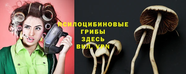 мяу мяу мука Алзамай