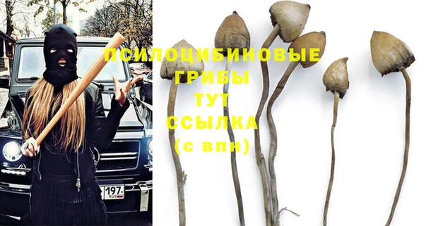 винт Протвино